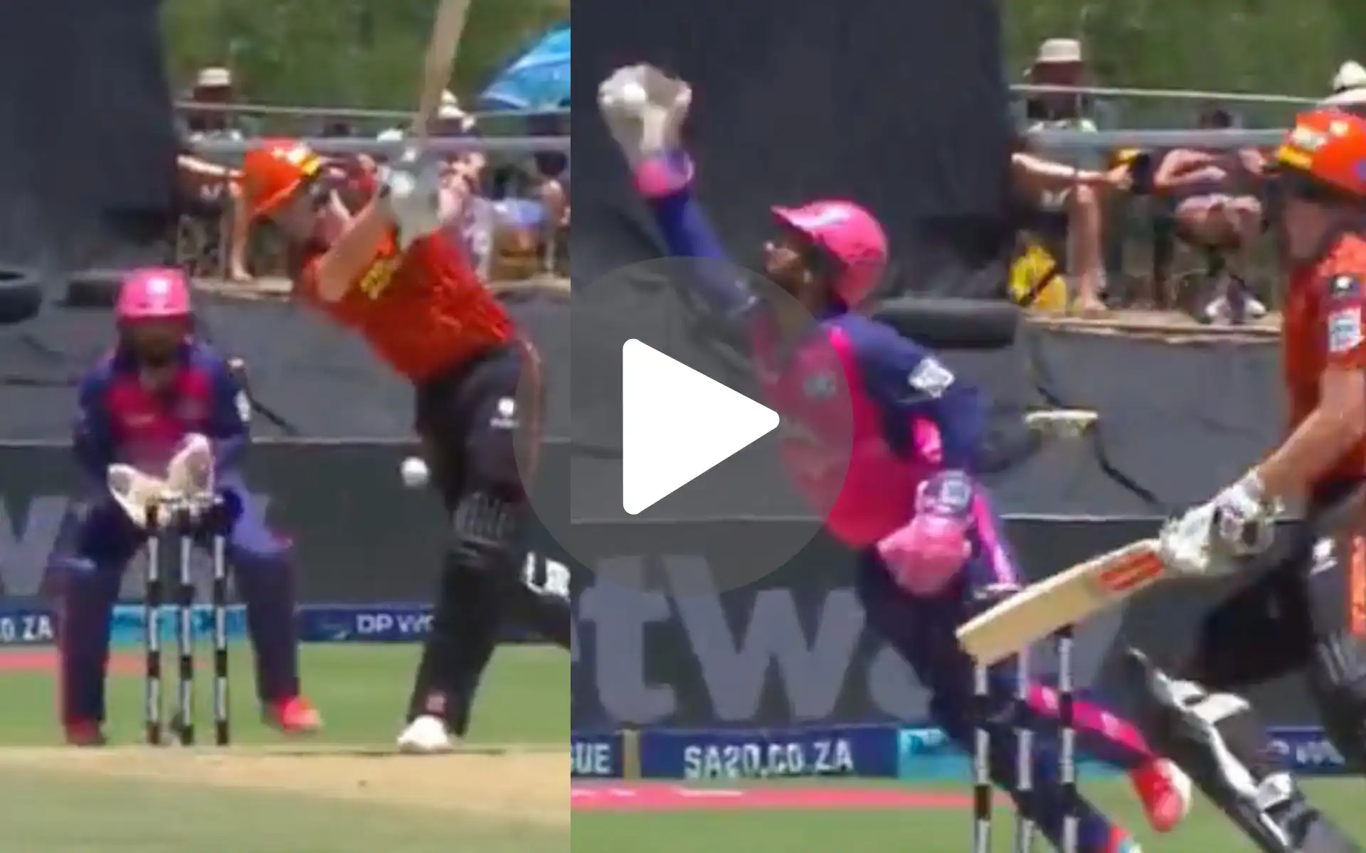 [Watch] Dinesh Karthik Channels Inner Dhoni With A Genius Catch On SA20 Debut
